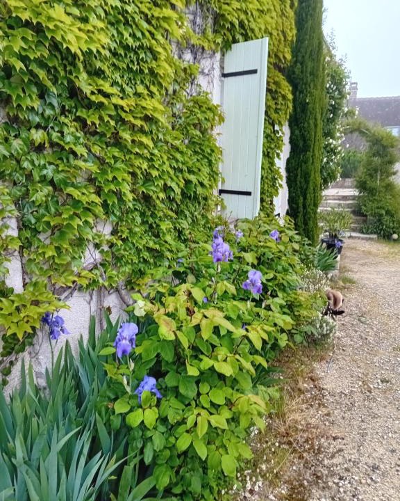 Saint-Georges-sur-Cher Bed & Breakfast | Ode au Bonheur St Georges sur Cher