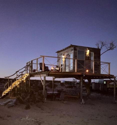 Joshua Tree Other | Treehouse