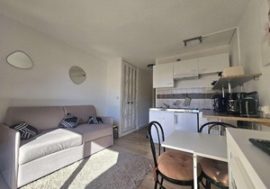 Studio lumineux avec balcon exposé sud, tout équipé et classé 2 étoiles. - FR-1-553-139