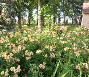 Bazouges-sur-le-Loir Bed & Breakfast | Bellopratainnes