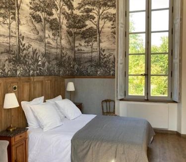 Olivet Bed & Breakfast | Château de la Mothe