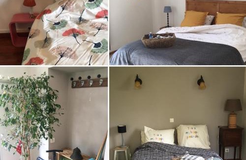 Nargis House | Le Gîte de Pomme