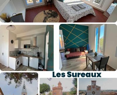 Saint-Mathieu Apartment | Les Sureaux - Hyper-Centre - Design & WiFi - Idéal Visite Perpignan