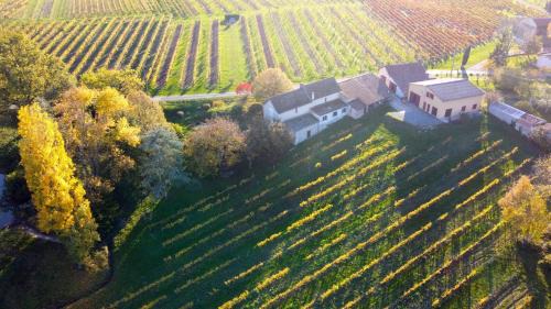Pomport House | Les Vignes