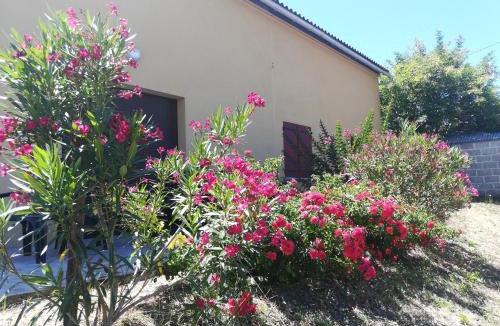 Pomport House | Les Vignes