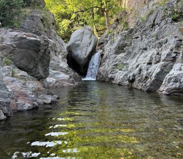 Vialas Other | Tipi Nature a l'Ombre des Tilleuls à Vialas en Cévennes - Animaux ferme