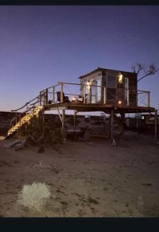 Joshua Tree Other | Treehouse