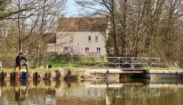 Air-conditioned, quiet vacation rental on the canal, between Guédélon and the Loire Valley