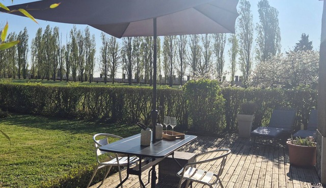 Amboise, lovely air-conditioned house in the heart of the vineyards,