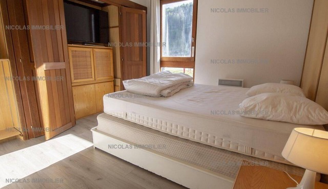 APARTMENT 3 PIECES 8 PEOPLE FRONT DE NEIGE