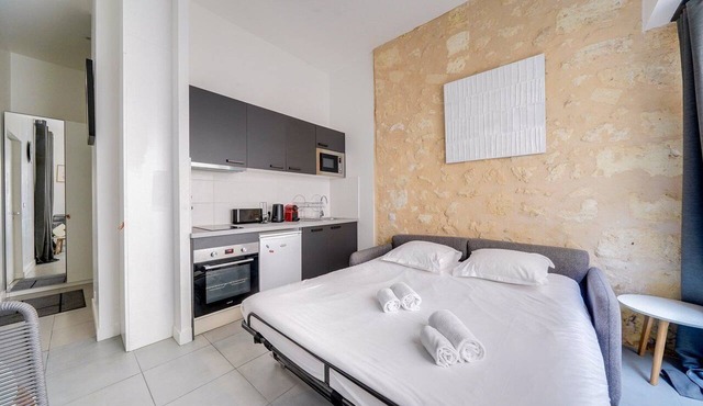 Beautiful apartment Bordeaux with private terrace
