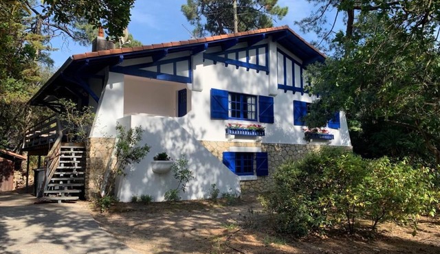 Beautiful Villa with large terrace 50m from the beach
