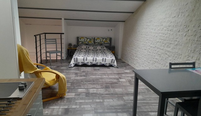 Charming studio in a quiet location, ideal for visiting La Rochelle and the Marais Poitevin.