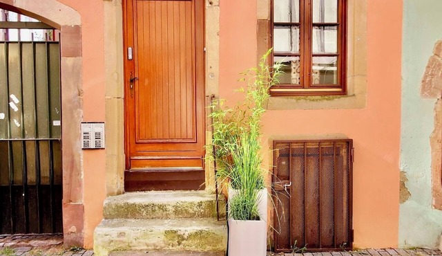 Cosy groundfloor appartment in the heart of Strasbourg, with 2 bikes.