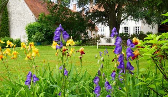Domaine d'Adon * - Charming renovated house 45m² in Adon (45) sleeps 2