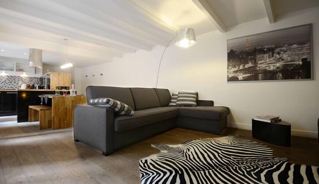 Ecrin à Bijoux - Central and Charming apartment with A/C in historical property