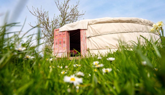 Farm yurt with private apartment