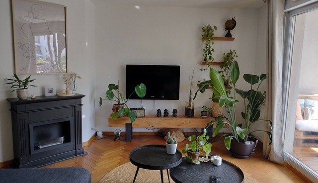 Le Botanica - Balcon - 2 chambres - proche quai du Rhone