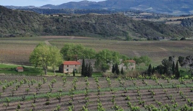 Mas Viticola Catalan