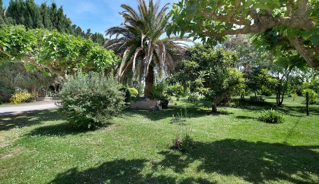 Rural Cottage with Mountain View, Shared Garden and Wi-Fi