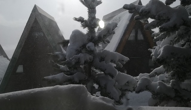 Small chalet -