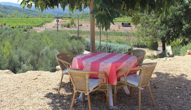 Villa in Provence with Pool and Vineyard Views
