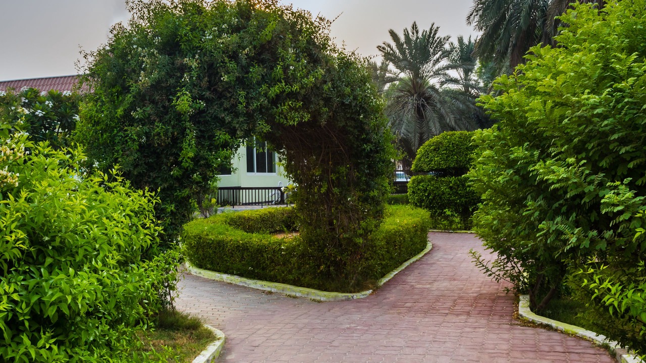 Photo of Outdoor in Umm al Quwain