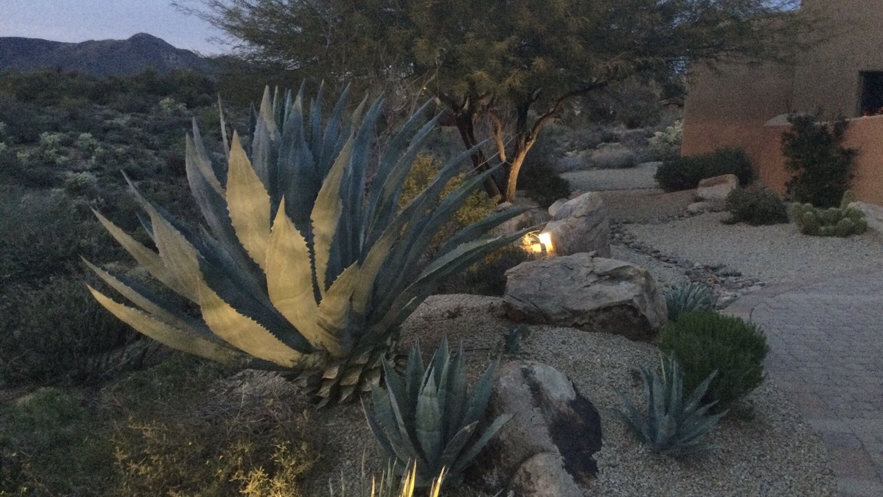 Photo of Outdoor in Pinnacle Peak