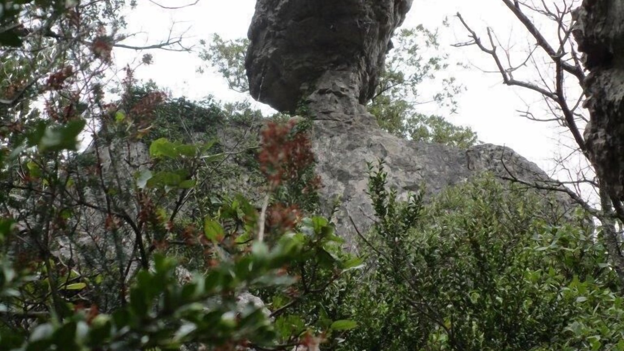 Photo of Outdoor in Pezenas