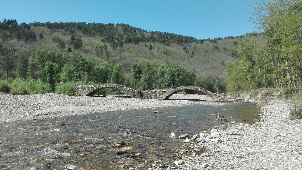 Photo of Others in Le Collet-de-Deze