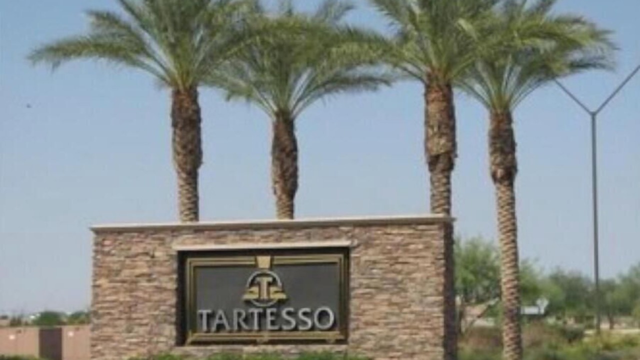 Photo of Others in Tartesso