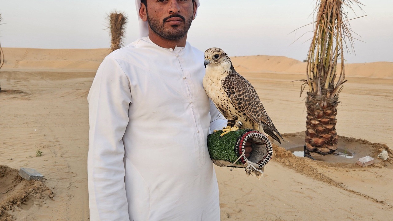 Photo of Others in Dubai