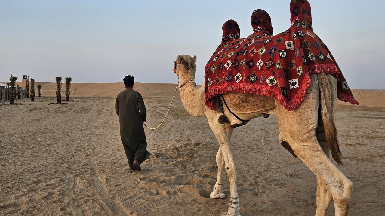 Photo of Others in Dubai
